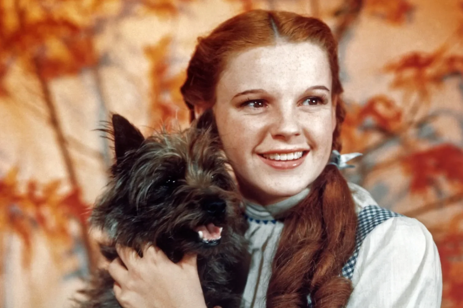 Judy Garland in Il mago di Oz (ed.1985)